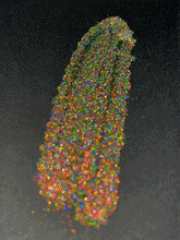 Load image into Gallery viewer, Yellow Flair Holographic Pigment
