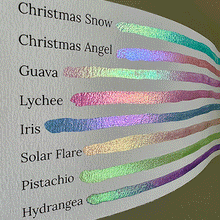 Load image into Gallery viewer, The Complete Pastel Chameleon Palette