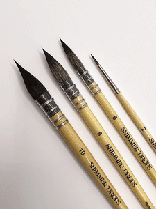 Professional Watercolour Brushes